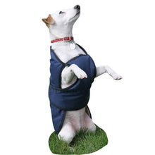 Load image into Gallery viewer, underbelly dog coat with chest protector navy
