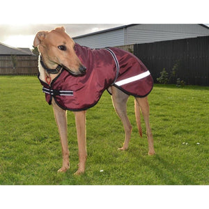 sighthound coat. maroon, burgundy with reflective strips. lurcher coats