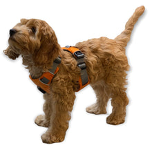 Load image into Gallery viewer, lightweight quality best dog harness uk
