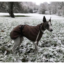 Load image into Gallery viewer, Smudgie wearing winter snow whippet coat in wax no velcro
