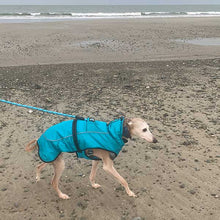 Load image into Gallery viewer, best lurcher dog coat for use with harness

