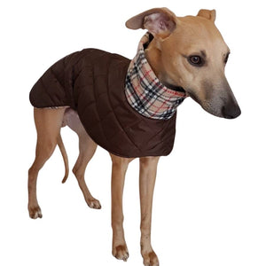 italian greyhound coat - quilted, fleece lined - snood collar, extra warm, harness hole option