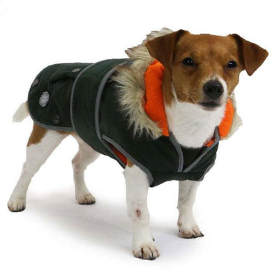 Parka Dog Coat with Orange lining and harness hole