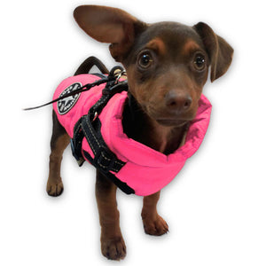 neon pink dog coat (hot pink)