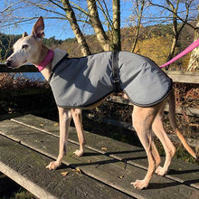 Load image into Gallery viewer, summer greyhound coats

