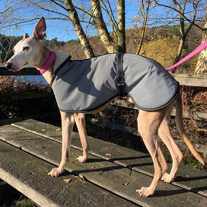 summer greyhound coats