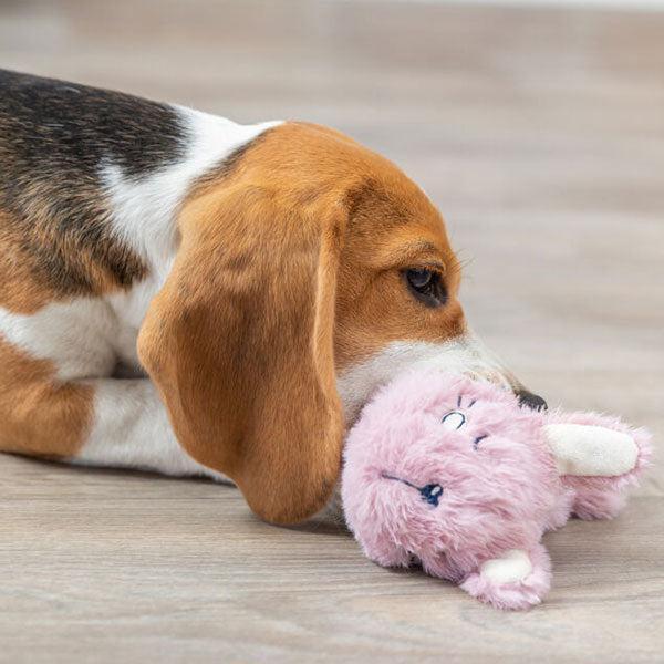 Puppy Teething Ring- Bunny Design - Main Image