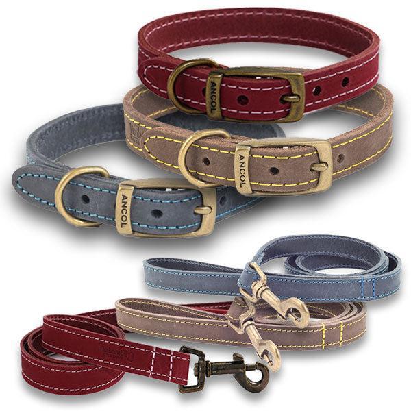British made leather dog collars and leads - made in the UK