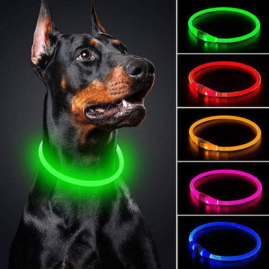 self illuminating dog collar that is USB rechargeable and available in a range of colours. 