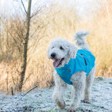 Load image into Gallery viewer, Poodle coat with belly protection
