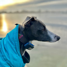 Load image into Gallery viewer, Best greyhound coats for winter with harness hole
