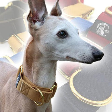 Martingale Whippet Collar