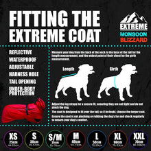 Load image into Gallery viewer, dog coat that can be used with a harness in all weathers. extra warm, with reflective strips.. 
