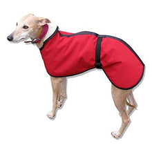 Load image into Gallery viewer, microfiber whippet coat. warm dry whippet clothes for everyday use
