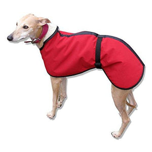 microfiber whippet coat. warm dry whippet clothes for everyday use