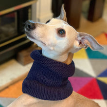Load image into Gallery viewer, wool whippet snood - ideal for keeping any chilly whippet warmer in cold weather
