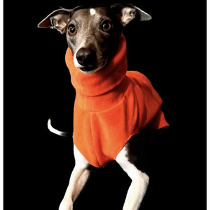 greyhound snook sweater fleece jumper