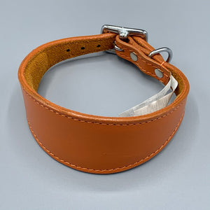 leather greyhound collar, leather whippet collar