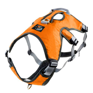 lurcher harness orange - escape proof 3 strap sighthound