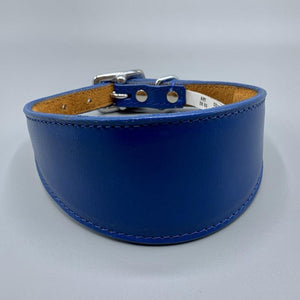 Blue whippet collars, blue greyhound collars, blue iggy collars. all leather, padded 