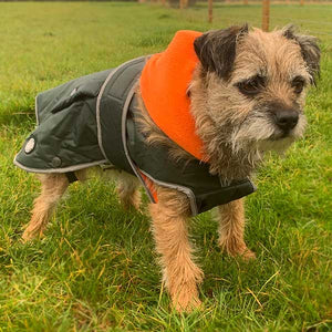 Best Dog Coat with Harness Hole UK
