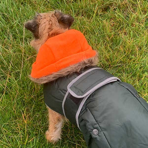 Dog coat with hood and harness hole uk