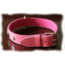 Load image into Gallery viewer, Pink leather and chrome metal staffordshire bullterrier collar
