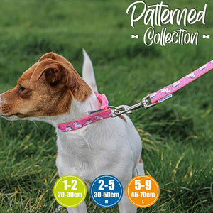 jack russell wearing pink unicorn fashion collar by ancol pet products - with matching lead