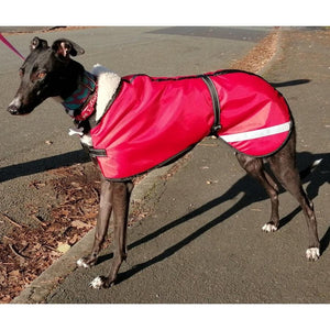 waterproof dog coat in red. greyhound jacket for all weathers. fleece lined and wind proof