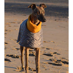 quilted fleece lined whippet coat with harness hole and snood