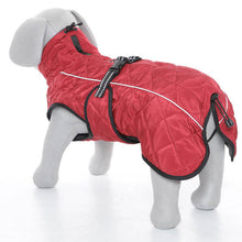 Load image into Gallery viewer, minot dog coat in red
