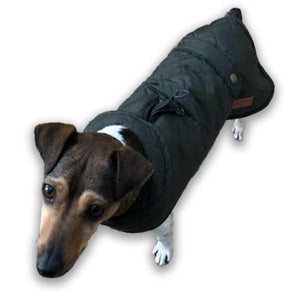 jack russell coat with harness hole