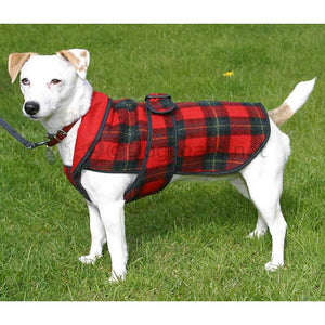 jack rusell in reversible fleece dog coat