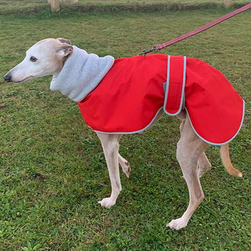 Sighthound Coat with Harness Hole Snood