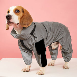 silver show suit. waterproof, windproof, mud resistant dog trouser suit
