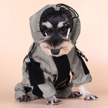Load image into Gallery viewer, miniature schnauzer in reflective mud suit
