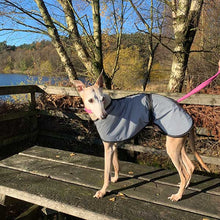 Load image into Gallery viewer, summer Italian greyhound coats
