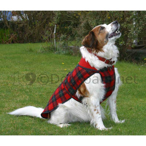 spaniel dog coat - fleece - reversible