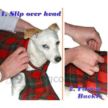 Load image into Gallery viewer, jack rusell in reversible fleece dog coat
