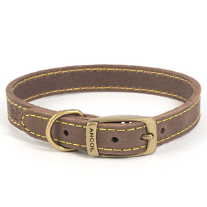 Brown bridle leather dog collar. Made in the UK