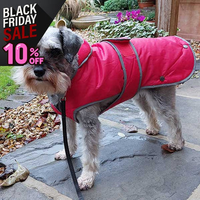 Waterproof Dog Coats UK. Jackets for winter or summer. All breeds