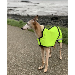 lightweight whippet coats. hi-vis yellow with reflective and thin mesh lining