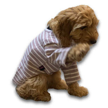 Load image into Gallery viewer, high-five cockerpoo in stripy jumper
