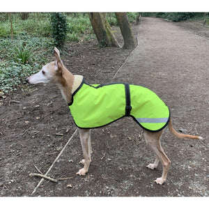 waterproof whippet coat with high vis waterproof shell and fleece or mesh lining