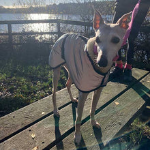 Load image into Gallery viewer, ultimate reflective whippet coats
