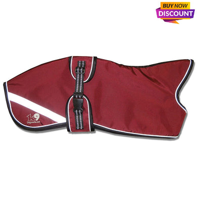 wine maroon oxblood whippet coat with reflective