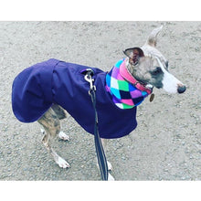 Load image into Gallery viewer, whippet coat with hole for harness to attach. Navy blue with polar fleece lining
