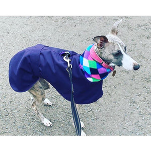 whippet coat with hole for harness to attach. Navy blue with polar fleece lining