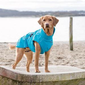 lightweight summer dog coat, waterproof, windproof