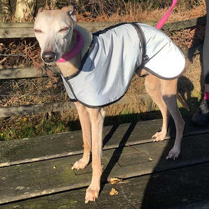 ultimate reflective greyhound coats